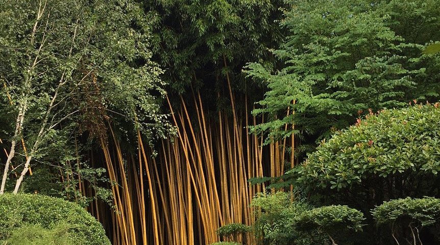 Les Bambous De Planbuisson Garden, Le Buisson-de-Cadouin, France, France